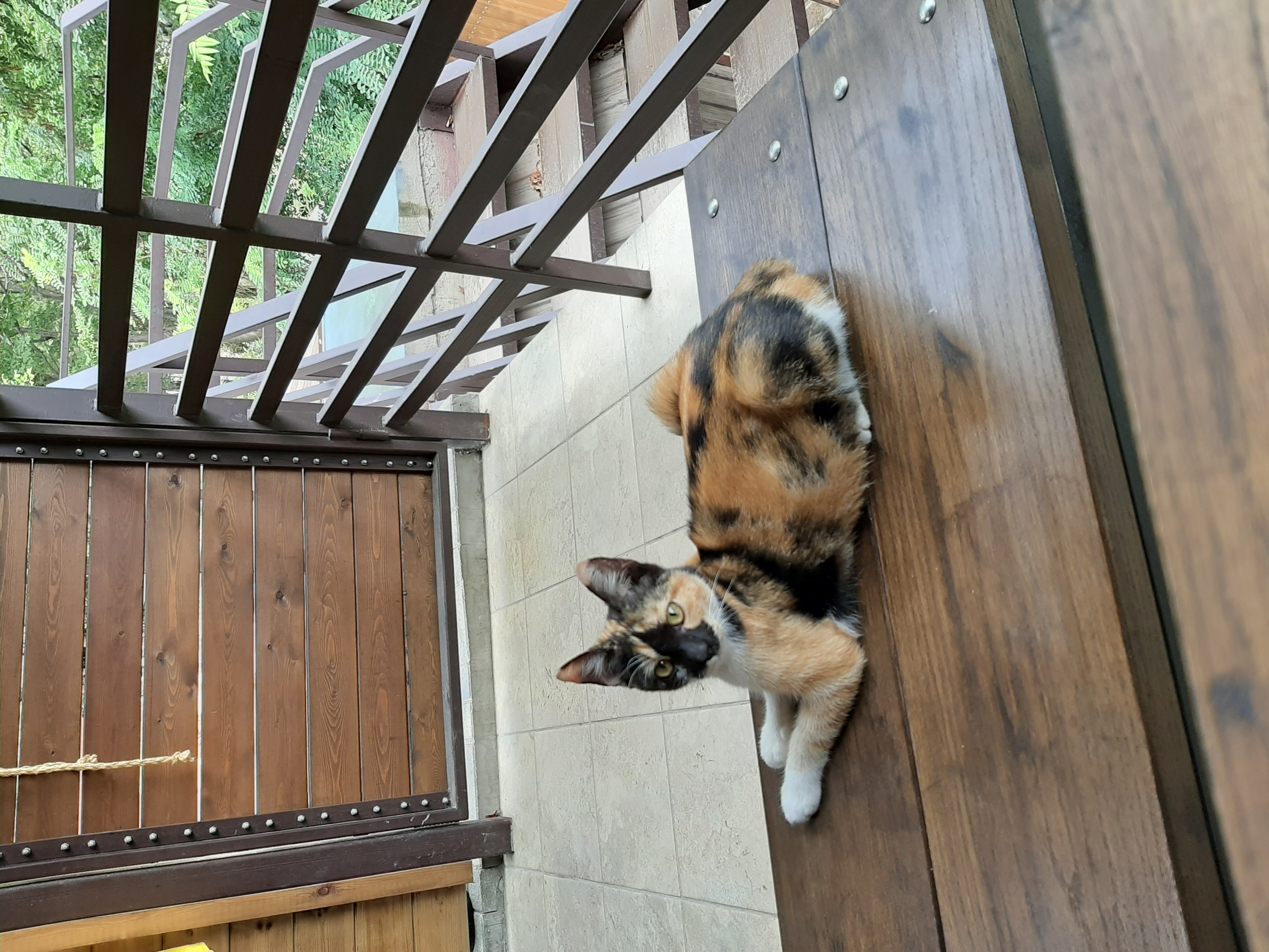 Фото Апартаменты в доме у моря