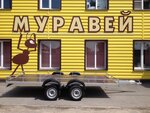 Muravey (posyolok gorodskogo tipa Anna, ulitsa Novy Trud, 1), auto parts and auto goods store