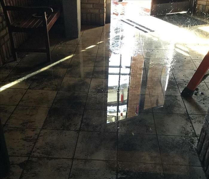 Carpet cleaning Servpro of Northeast Bergen County, Fair Lawn, State of New Jersey, photo