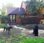 ZooOtel CotOpes (territoriya Levy Bereg Reki Izhory, 47), pet hotel