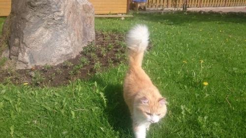 Фото Зимняя сказка