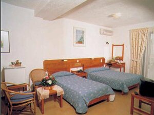 Гостиница Irini Hotel