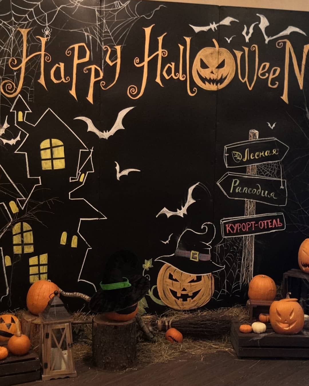 Фото Лесная Рапсодия