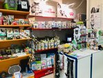 Animals (Bushueva Street, 25), pet shop