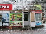 Chay Kofe (ulitsa Kurchatova, 11А/1) ، متجر بيع الشاي