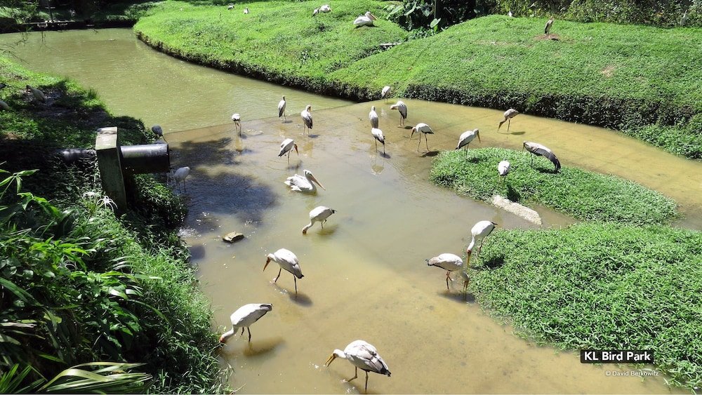 Фото Zen Rooms Royce Hotel