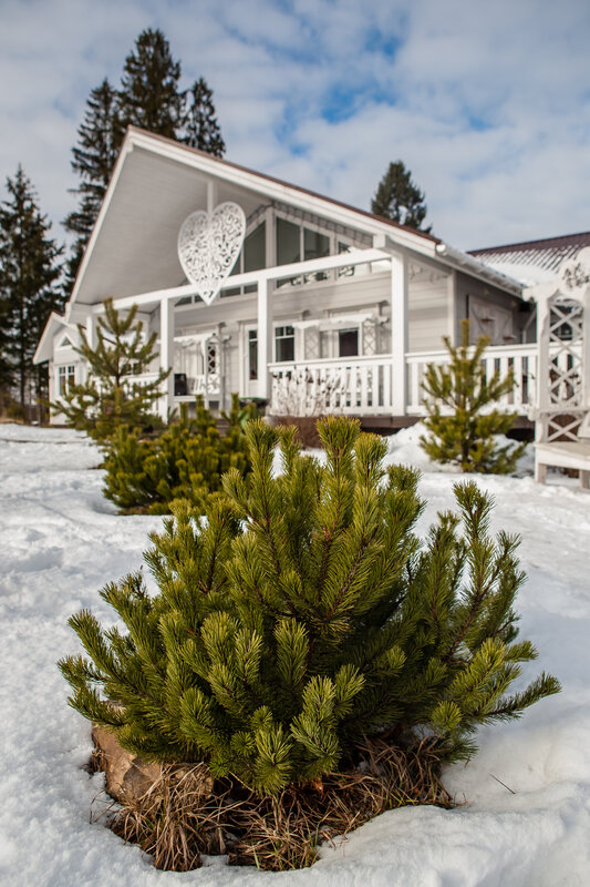 Фото Тучково СПА отель