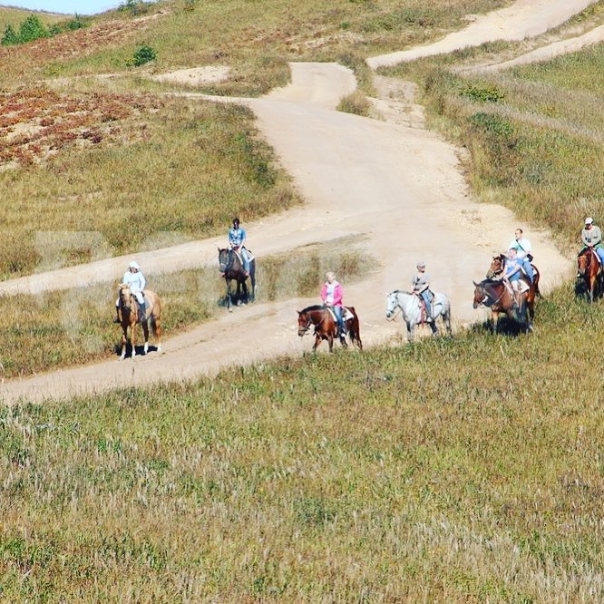 Фото Береговая