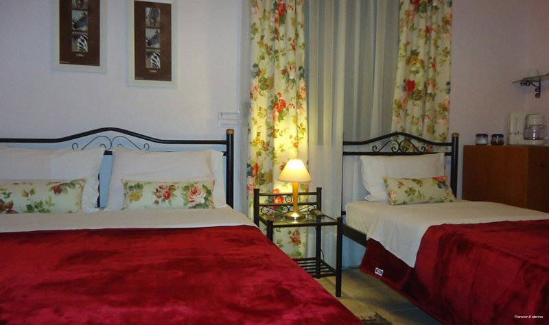 Фото Pansion Thanos