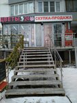 Антикварный (Vernadskogo Avenue, 111), antique store