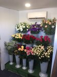 Flowers (посёлок городского типа Николаевка, улица Ленина, 4), flower shop