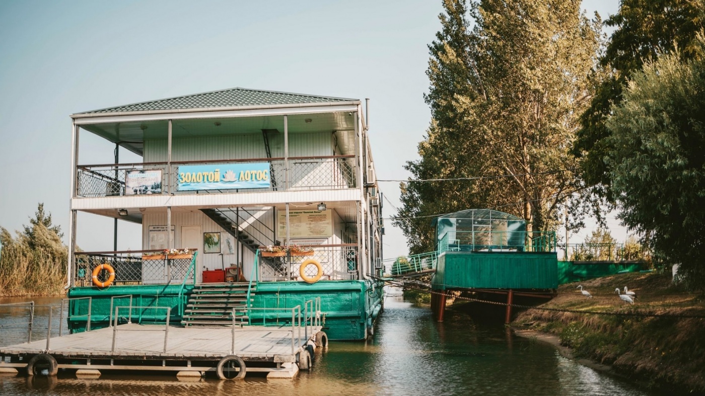 Фото Золотой Лотос