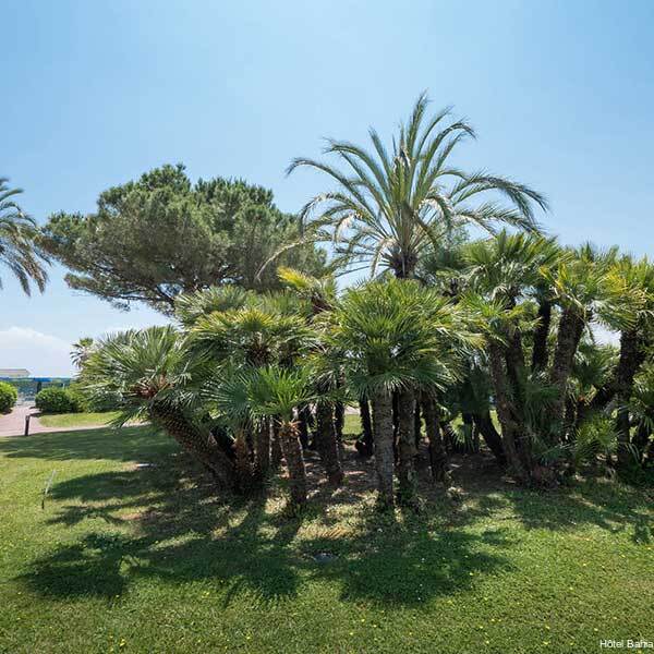 Фото Hotel Bahia