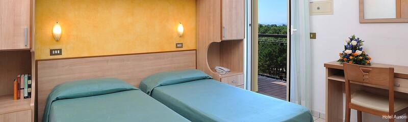 Фото Hotel Ausonia