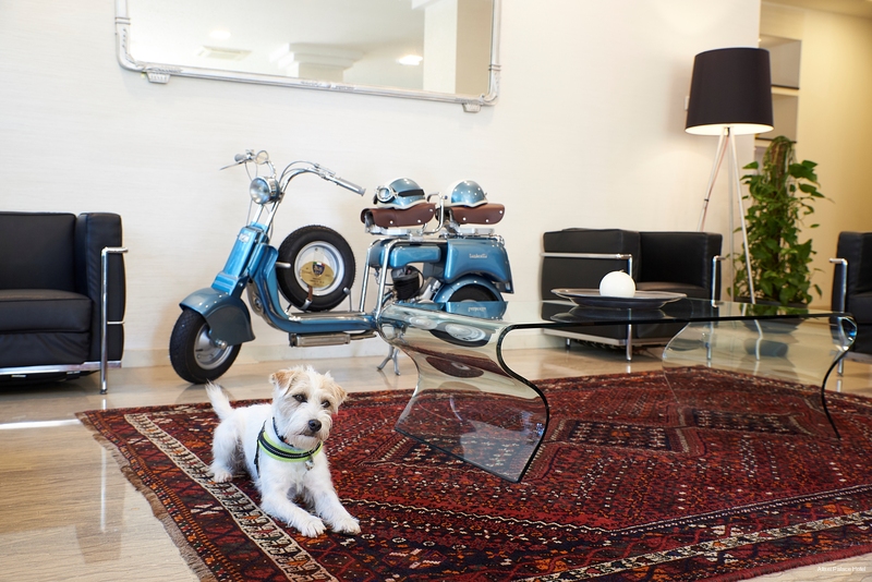 Фото Alisei Palace Hotel