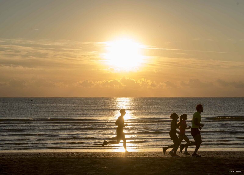 Фото Accademia Rimini