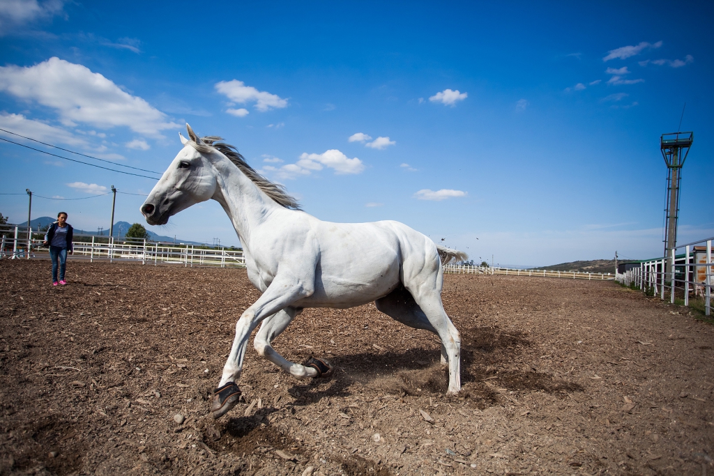 Фото City & Business