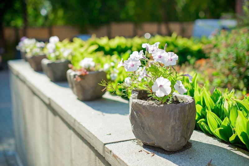 Фото Октябрьская