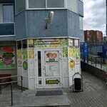 Апельтини (Samolyotnaya Street, 33), children's developmental center