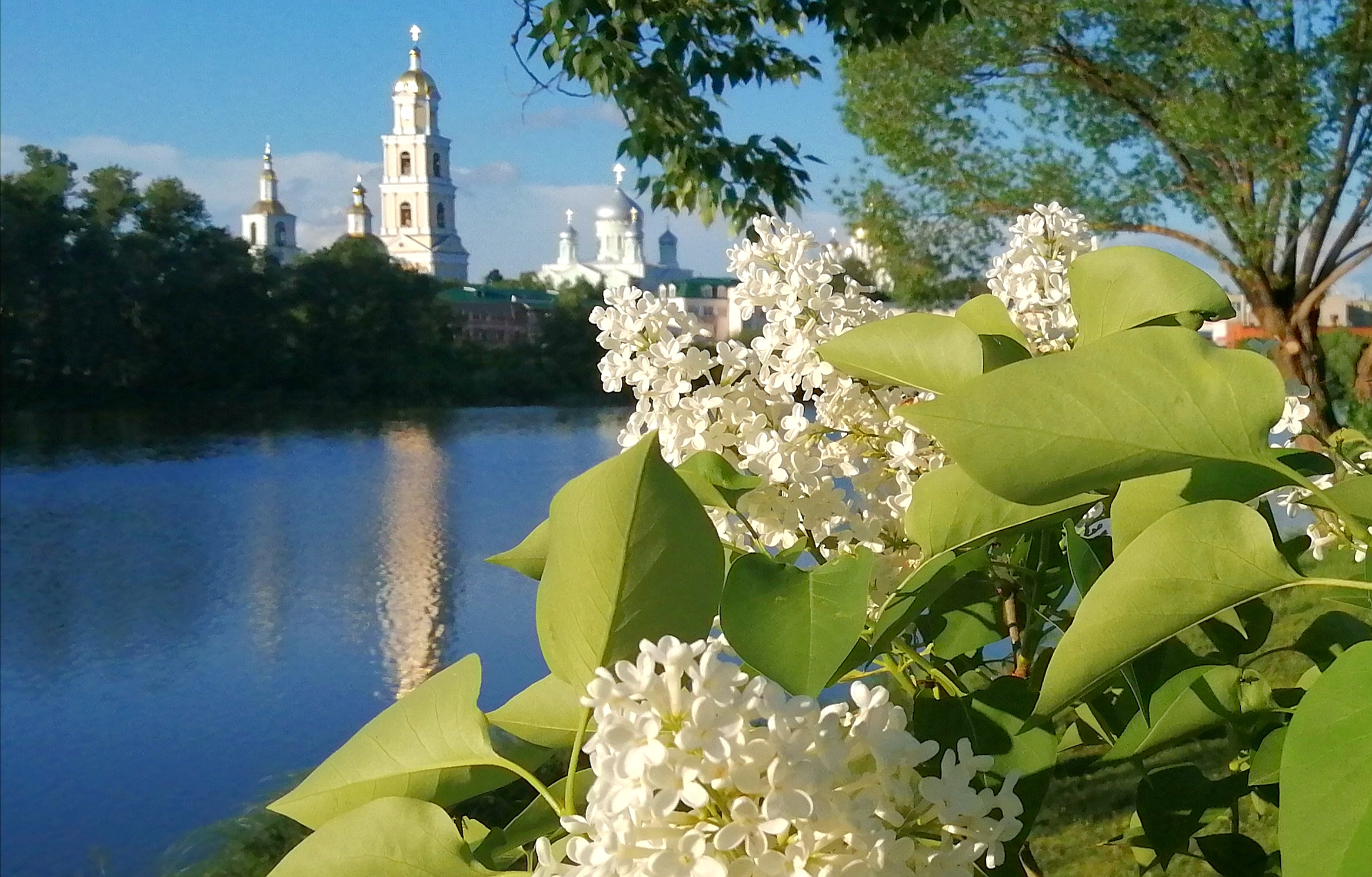Фото Дивный дворик