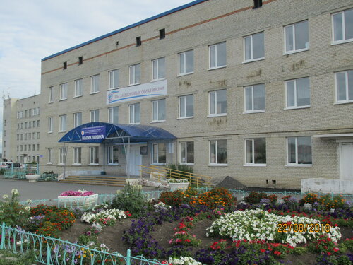 Больница для взрослых ГБУ Межрайонная больница № 6, Куртамыш, фото