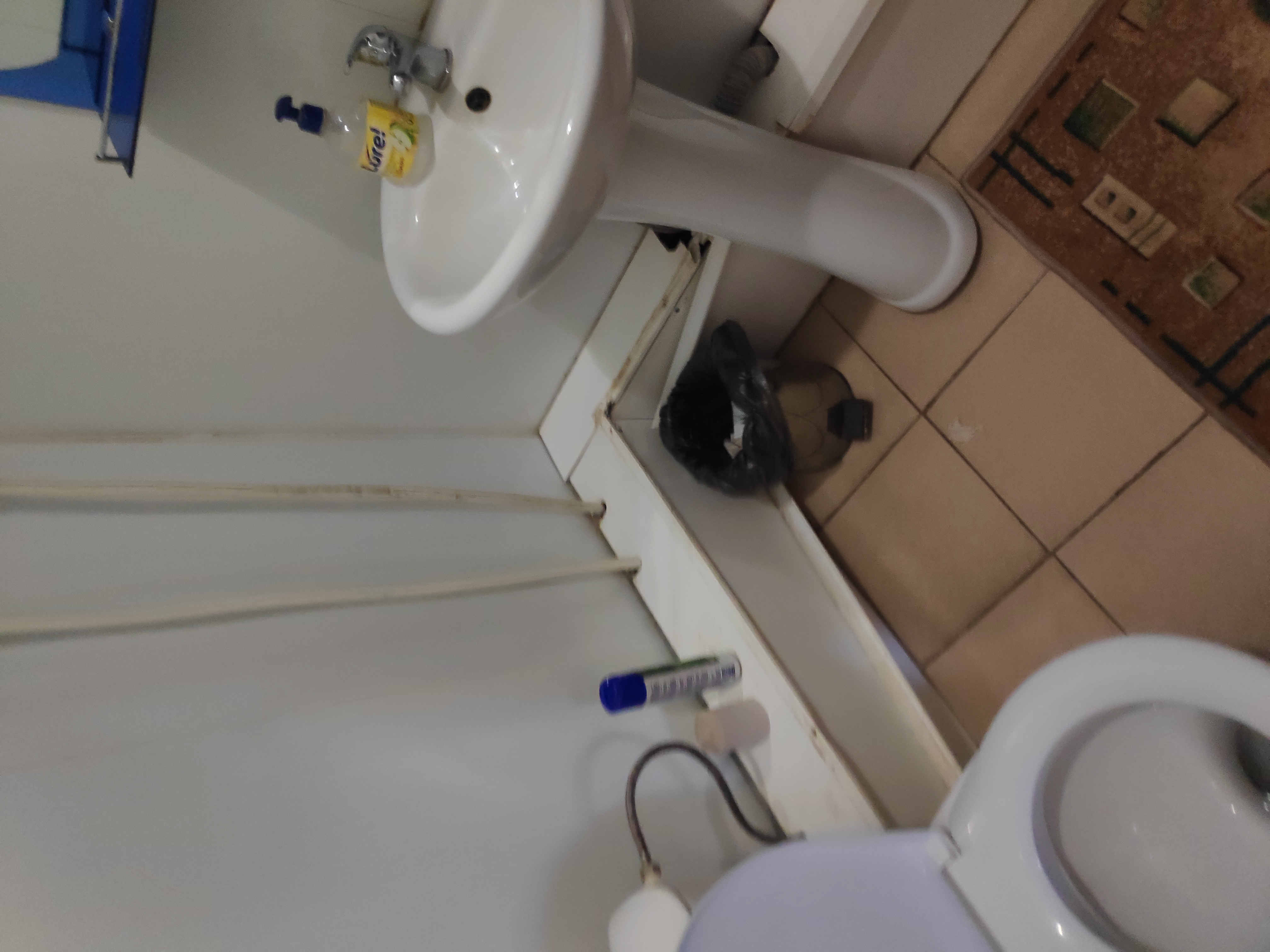 Фото Магнолия