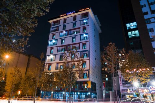 Гостиница Mugwort Hotel Istanbul в Эсенъюрте