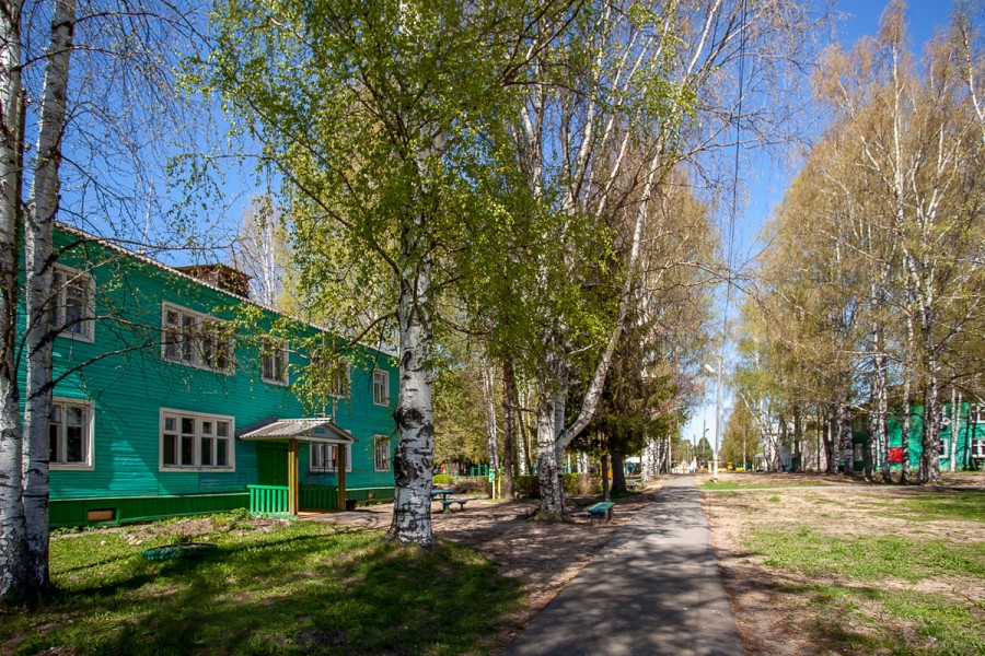 Фото Солониха