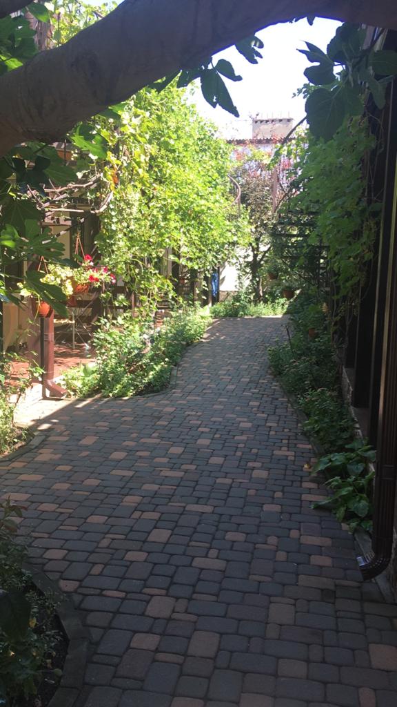 Фото Садорини