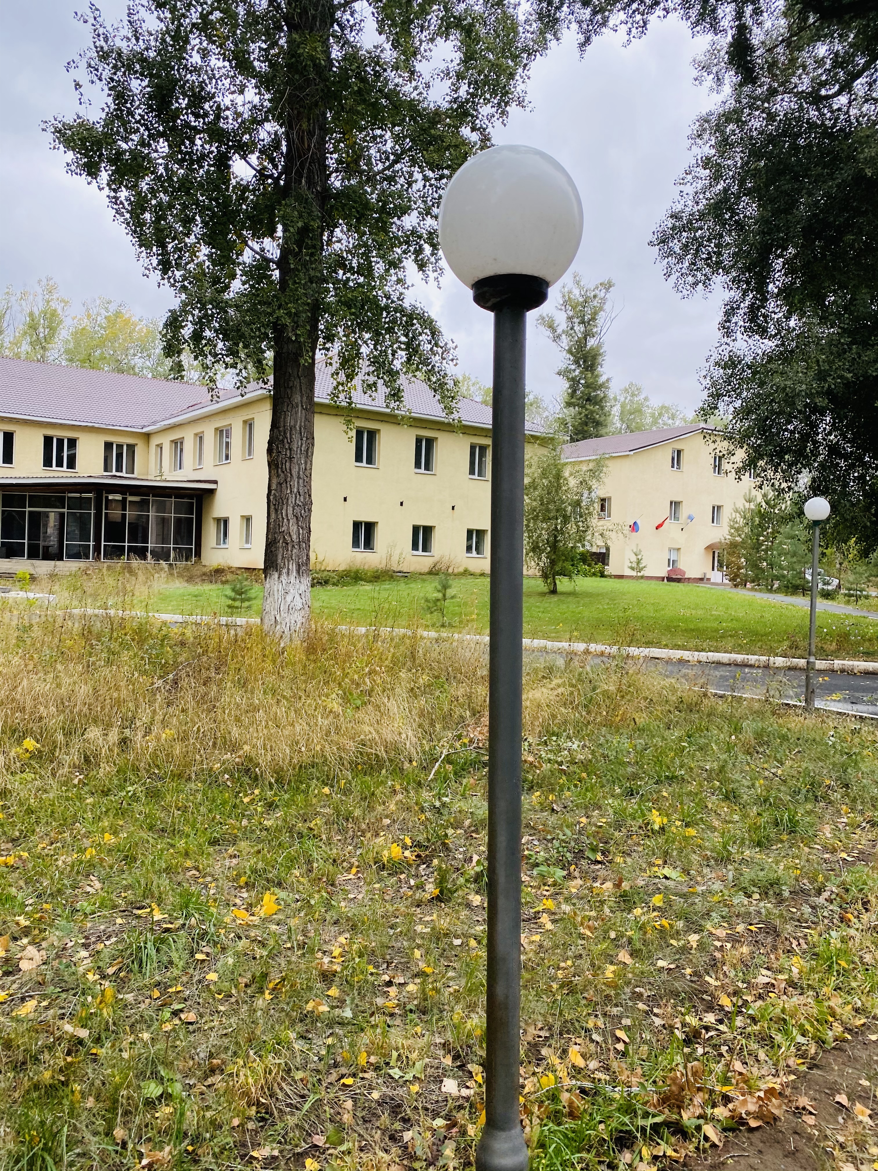 Фото Нежинка