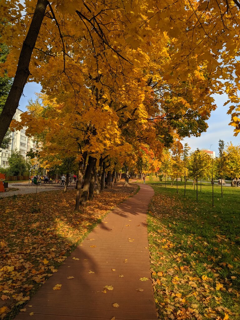منتزه Сквер по улице Академика Парина ، قازان، صورة