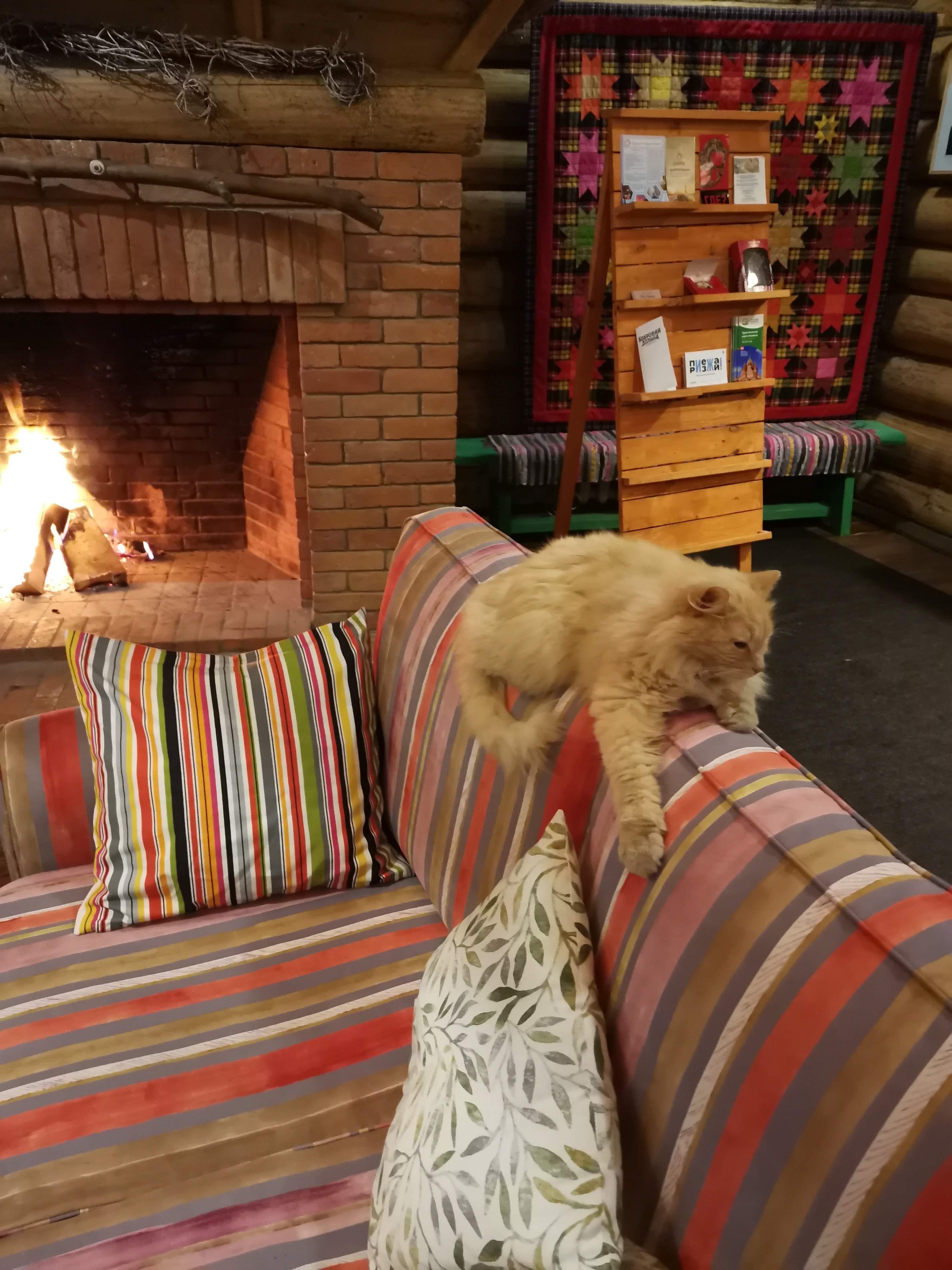 Фото Бобровая долина