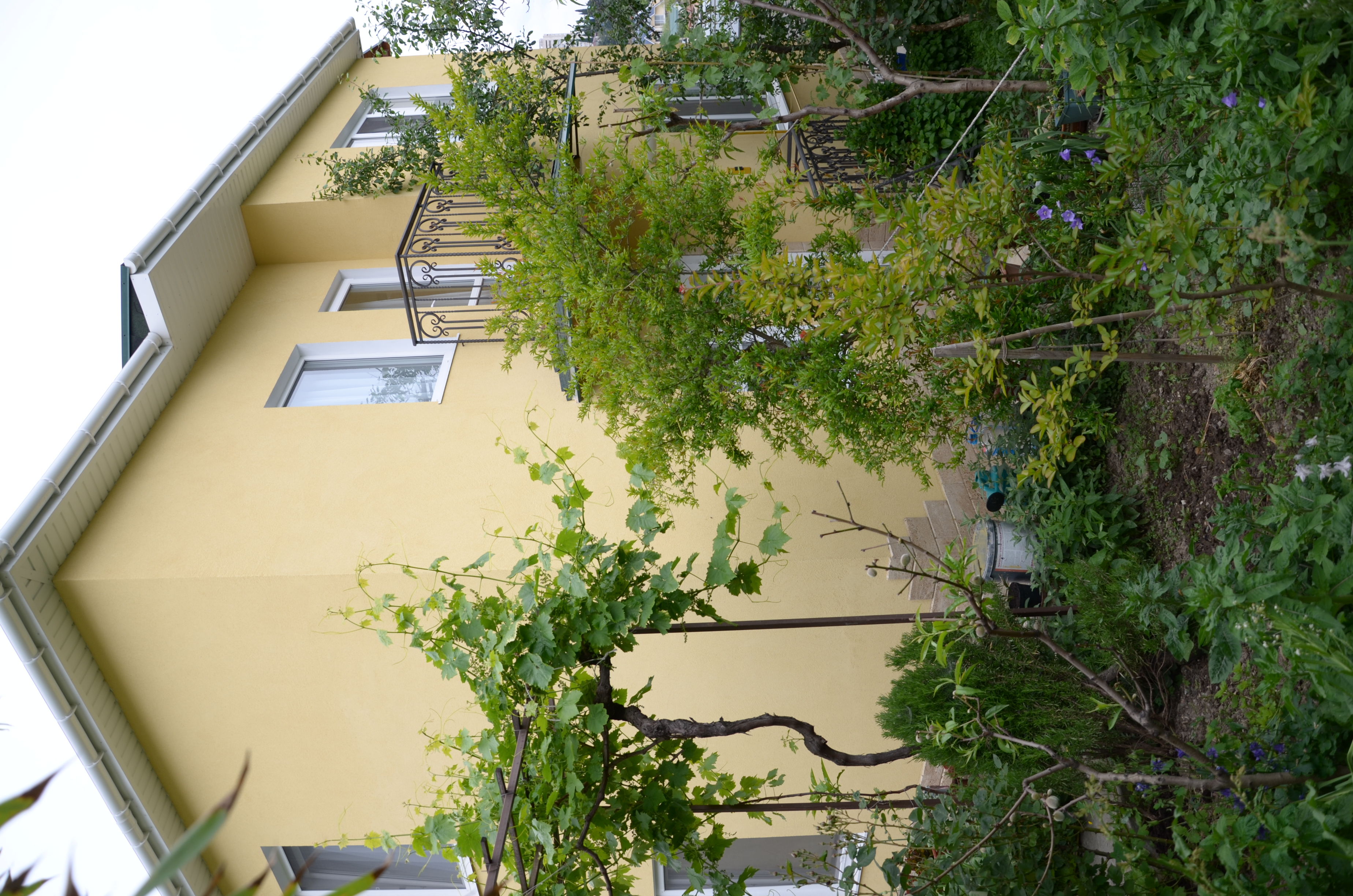 Фото Капитанская Дача