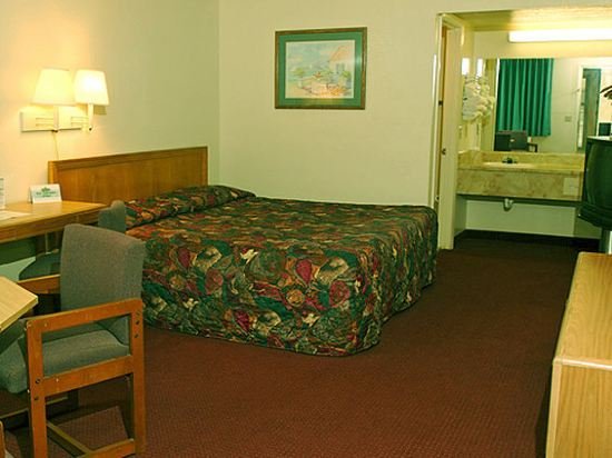 Фото Motel 6 Tampa, Fl