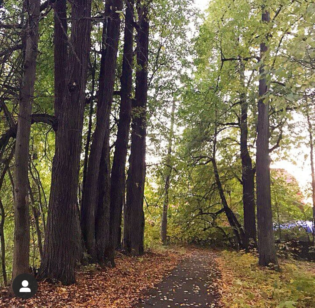 Парк культуры и отдыха Парк Опалиха-Алексеевкое, Красногорск, фото