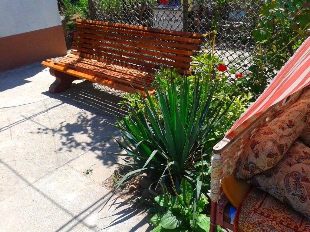 Фото Гармония