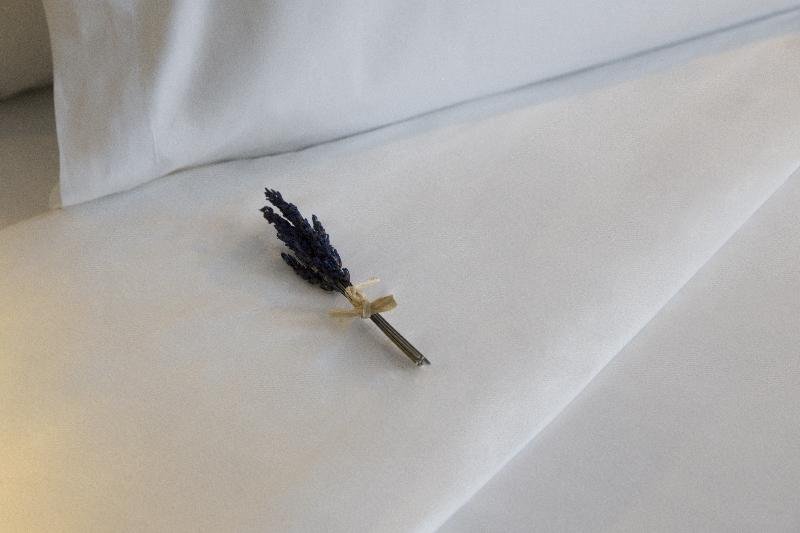 Фото Icon Embassy