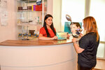 Cosmetology Artevita (Grushevskaya Street, 12), cosmetology