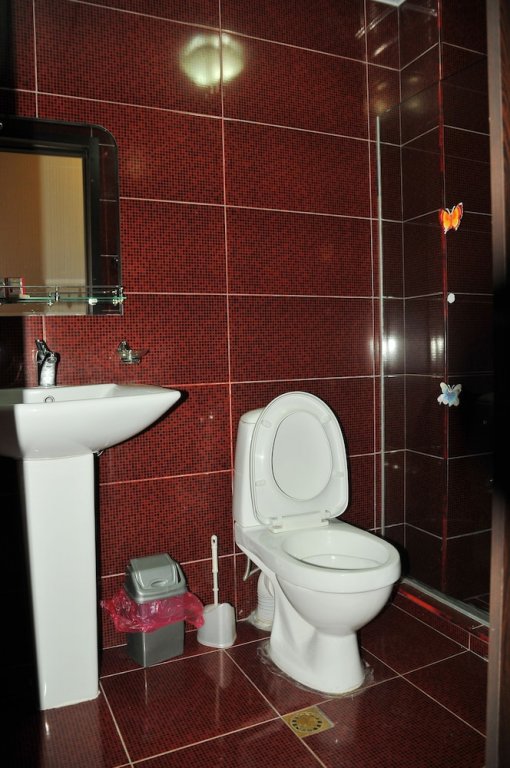 Фото ბორჯომი სასტუმრო ალმა-ატა