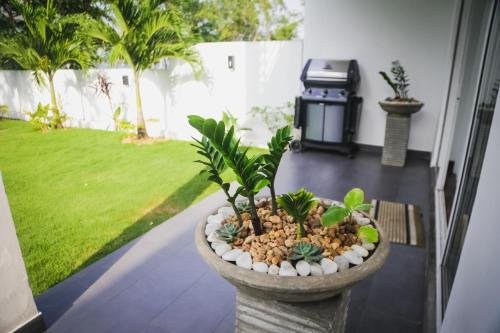 Фото Yaraya Bolgoda