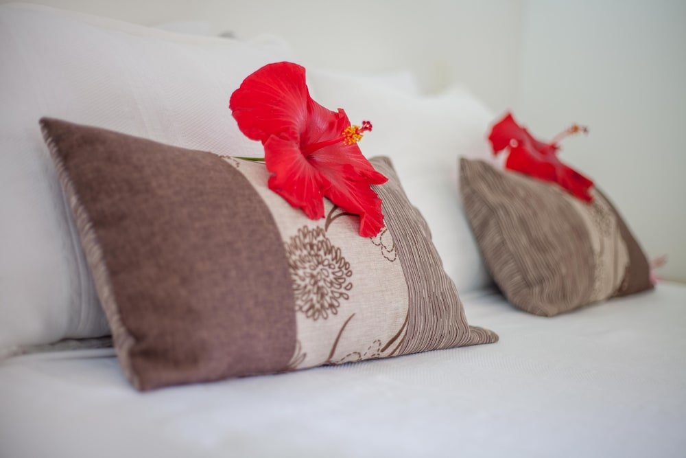 Фото Cabañas Te Maori