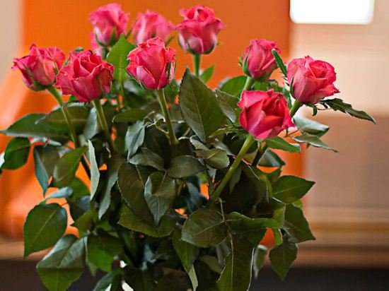 Фото Comfort Hotel Arctic