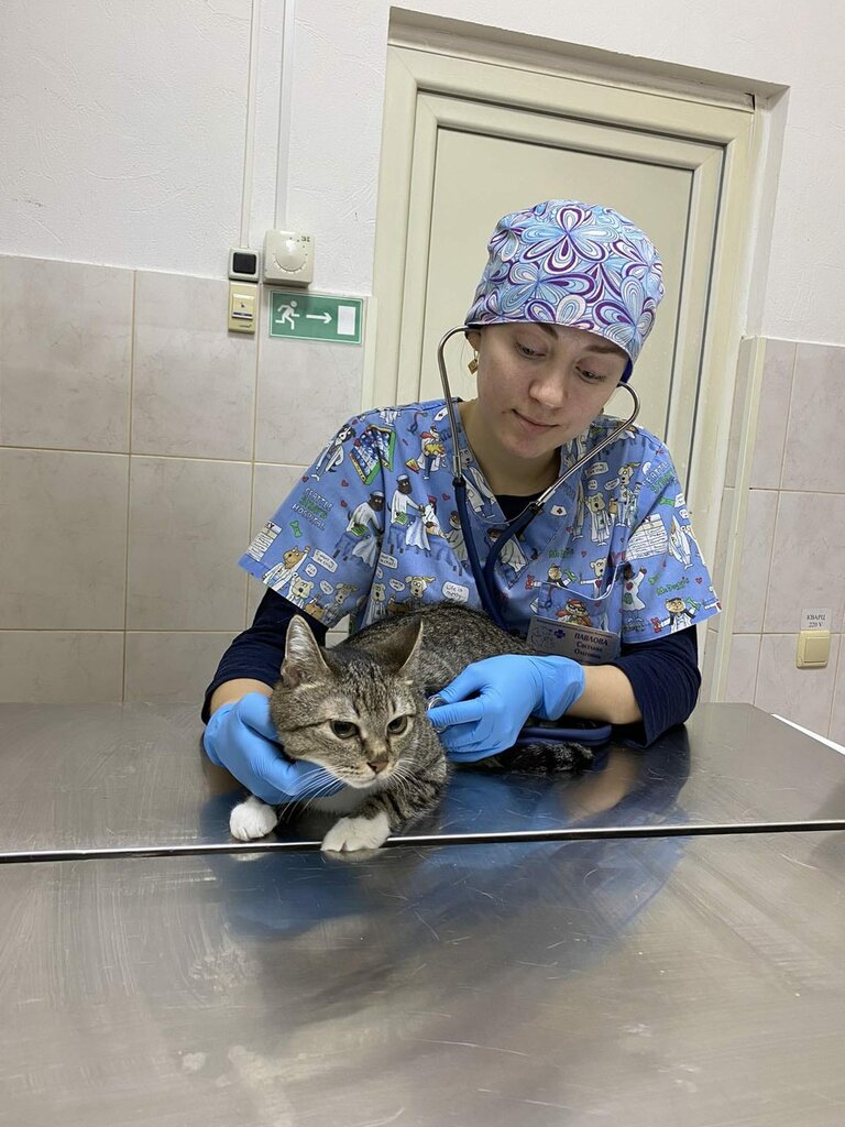Veterinary clinic Veterinary clinic of Dr. V.V. Annikov., Saratov, photo