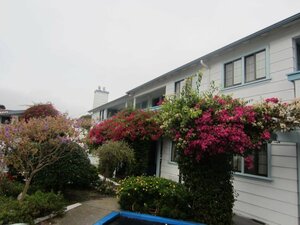 Гостиница Arbor Inn Monterey