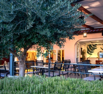 Фото Luxury Suites Bellevue