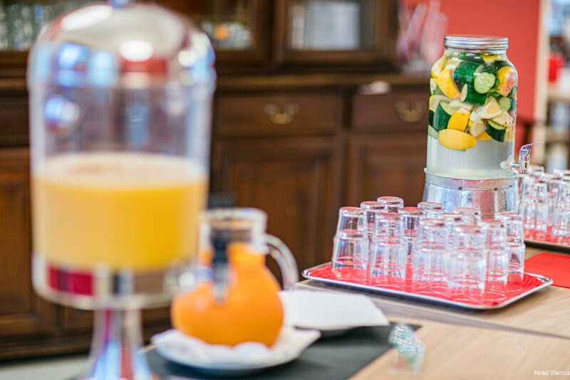 Фото Hotel Vienna