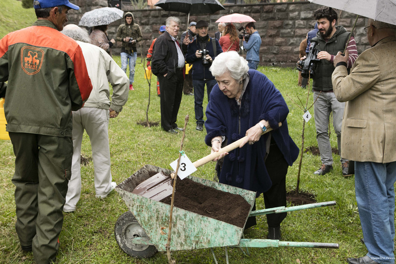 Фото Наири СПА Резортс
