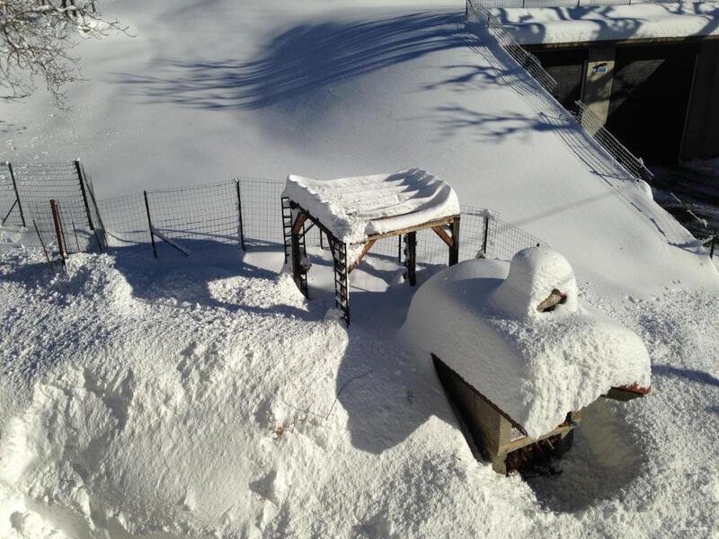 Фото La Casa Inglese