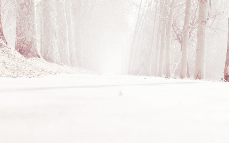 Фото Hotel Riviera