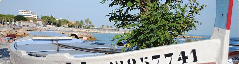 Фото La Villa des Oliviers